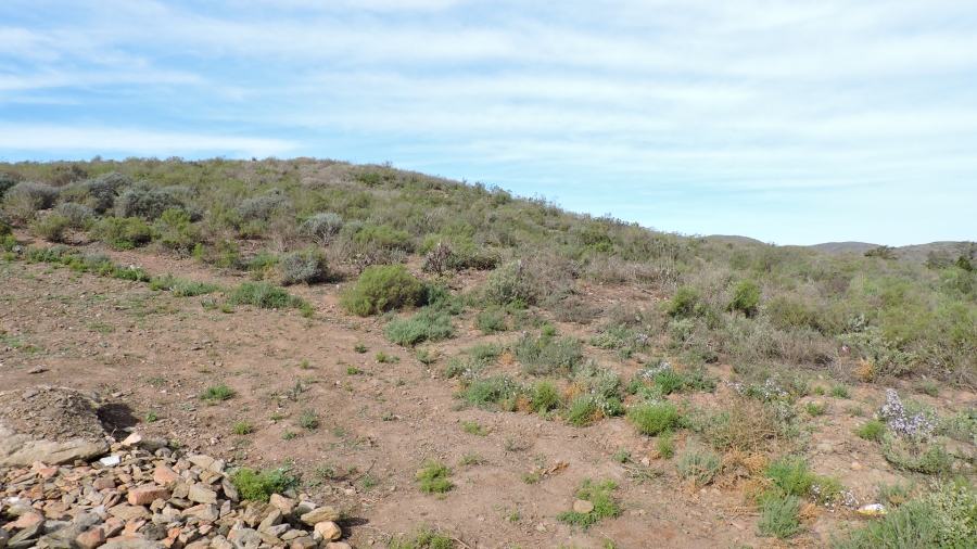 0 Bedroom Property for Sale in Bonnievale Western Cape